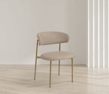 Load image into Gallery viewer, Lupita - Dining Chair With Brushed Gold Legs (Set of 2)

