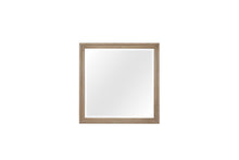 Load image into Gallery viewer, Citrus Heights - Mirror
