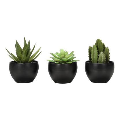 Artificial Succulent Plants (Set of 3) - Ego Home Furniture