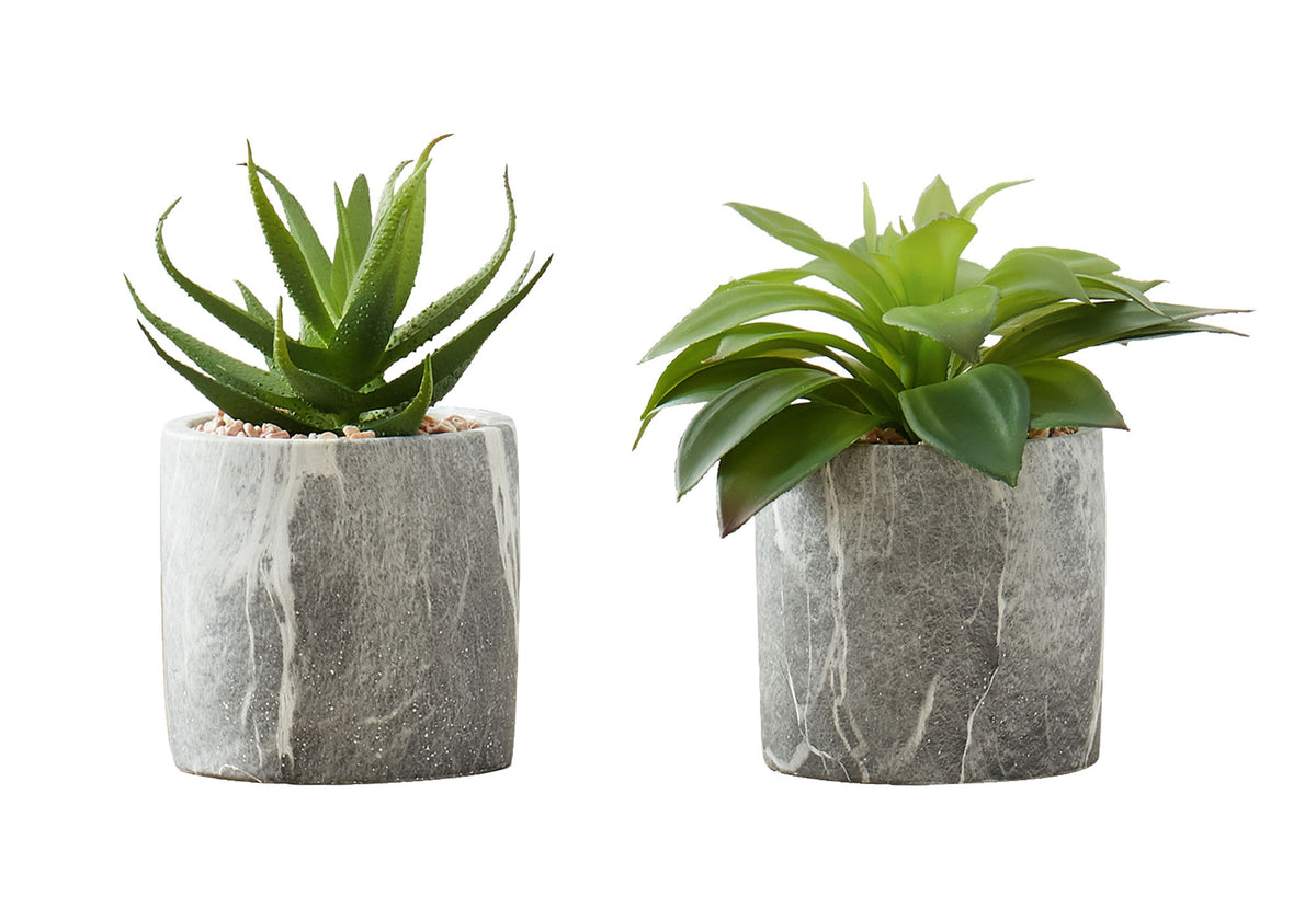 6" Tall, Artificial Plant, Succulent, Indoor, Faux, Fake, Table, Greenery, Potted, Decorative (Set of 2) - Green - Ego Home Furniture