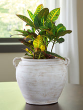 Load image into Gallery viewer, Meadie - 9" Vase
