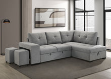 Load image into Gallery viewer, Roanne Pull-Out Sleeper Sectional Sofa
