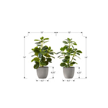 Load image into Gallery viewer, Artificial Ficus Elastica Plant (Set of 2)
