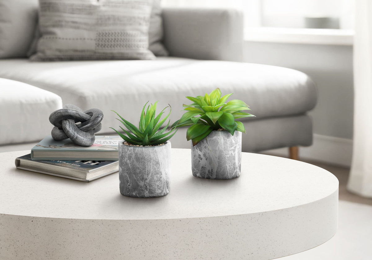 6" Tall, Artificial Plant, Succulent, Indoor, Faux, Fake, Table, Greenery, Potted, Decorative (Set of 2) - Green - Ego Home Furniture