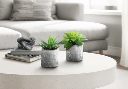 6" Tall, Artificial Plant, Succulent, Indoor, Faux, Fake, Table, Greenery, Potted, Decorative (Set of 2) - Green - Ego Home Furniture
