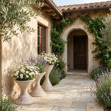 Load image into Gallery viewer, Vessa - Indoor / Outdoor Concrete Planter

