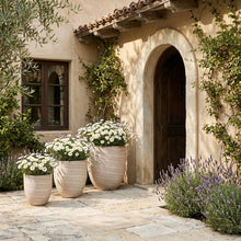 Load image into Gallery viewer, Florique - Indoor / Outdoor Concrete Planter
