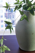 Load image into Gallery viewer, Baychester - Vase
