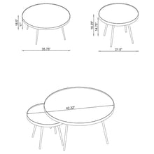 Load image into Gallery viewer, Kaelyn Coffee Table Set
