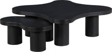 Load image into Gallery viewer, Cove - Oak Veneer And Solid Wood 2 Piece Coffee Table
