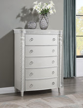 Load image into Gallery viewer, B033 - Chest - White
