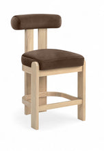 Load image into Gallery viewer, Arienzo - Velvet Performance Fabric Upholstered Counter Stool (Set of 2)

