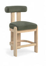 Load image into Gallery viewer, Arienzo - Velvet Performance Fabric Upholstered Counter Stool (Set of 2)
