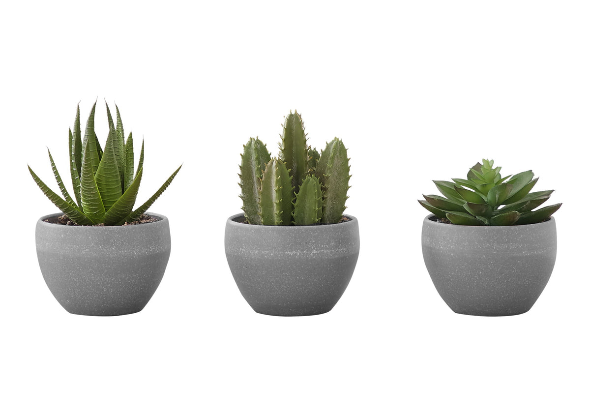 Artificial Succulent Plants (Set of 3) - Ego Home Furniture