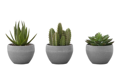 Artificial Succulent Plants (Set of 3) - Ego Home Furniture
