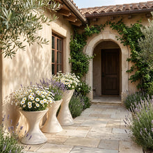 Load image into Gallery viewer, Vessa - Indoor / Outdoor Concrete Planter
