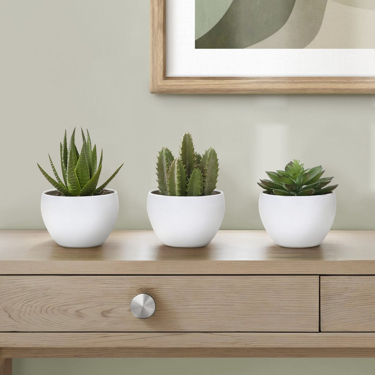 Artificial Succulent Plants (Set of 3) - Ego Home Furniture
