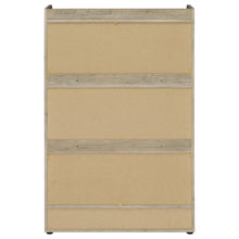 Load image into Gallery viewer, Denia Shoe Cabinet
