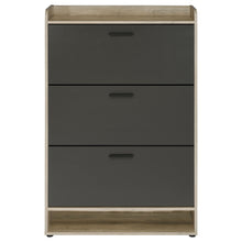 Load image into Gallery viewer, Denia Shoe Cabinet

