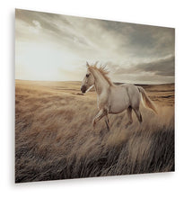 Load image into Gallery viewer, Errolville - Wall Art - Multi
