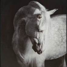 Load image into Gallery viewer, Archerwick Wall Art - Ego Home Furniture
