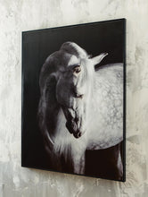 Load image into Gallery viewer, Archerwick Wall Art - Ego Home Furniture
