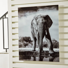 Load image into Gallery viewer, Glinyard Wall Art
