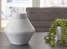 Load image into Gallery viewer, Domina Jar (Set of 2) - Ego Home Furniture
