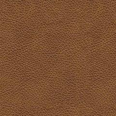 Carianna Sofa - Ego Home Furniture
