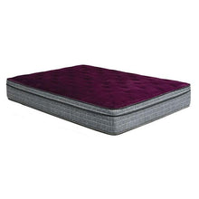 Load image into Gallery viewer, Purple/Grey 13" Euro Pillow Top Mattress Non-Flip, Full
