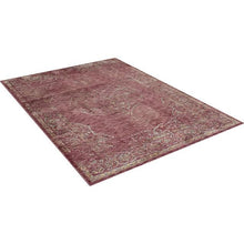 Load image into Gallery viewer, Payas Red 5' X 7' Area Rug

