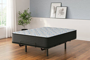 Elite Springs Plush Mattress - Ego Home Furniture