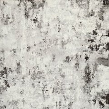 Load image into Gallery viewer, Greyland 5&#39; x 7&#39; Rug
