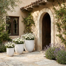 Load image into Gallery viewer, Florique - Indoor / Outdoor Concrete Planter
