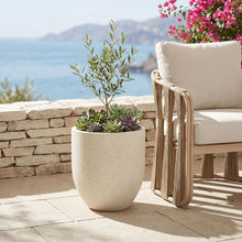 Load image into Gallery viewer, Florique - Indoor / Outdoor Concrete Planter
