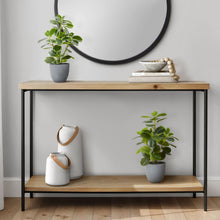 Load image into Gallery viewer, Artificial Ficus Elastica Plant (Set of 2)
