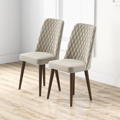 Katie - Mid-Century Modern Dining Chair (Set of 2) - Ego Home Furniture