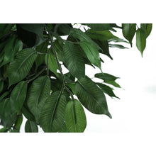 Load image into Gallery viewer, 58" Tall, Artificial Plant, Ficus Tree, Indoor, Faux, Fake, Floor, Greenery, Potted, Decorative - Green / Black
