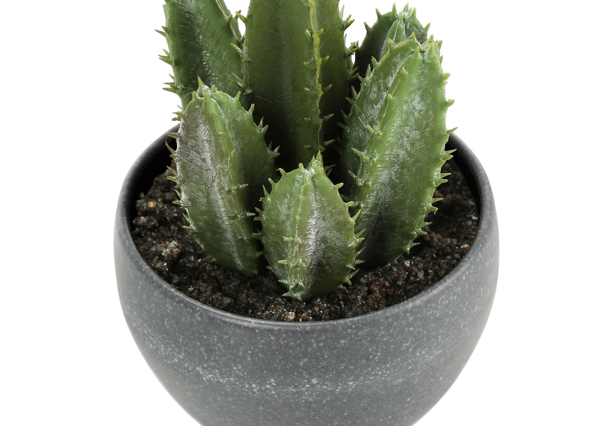 Artificial Succulent Plants (Set of 3) - Ego Home Furniture