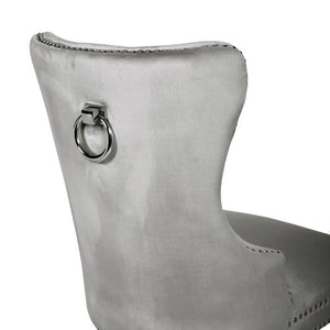 Galaxy Home Erica Stainless Steel Legs Dining Chair (Set of 2) in Light Grey