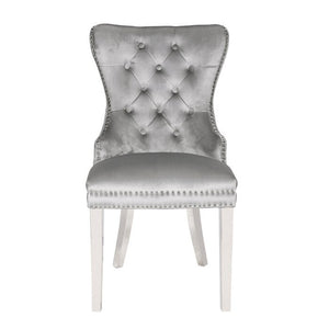 Galaxy Home Erica Stainless Steel Legs Dining Chair (Set of 2) in Light Grey