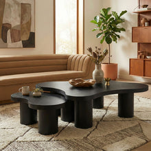 Load image into Gallery viewer, Cove - Oak Veneer And Solid Wood 2 Piece Coffee Table
