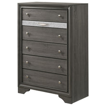 Load image into Gallery viewer, Crown Mark Regata Chest in Grey
