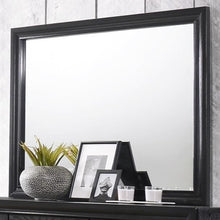 Load image into Gallery viewer, Crown Mark Regata Mirror in Black image
