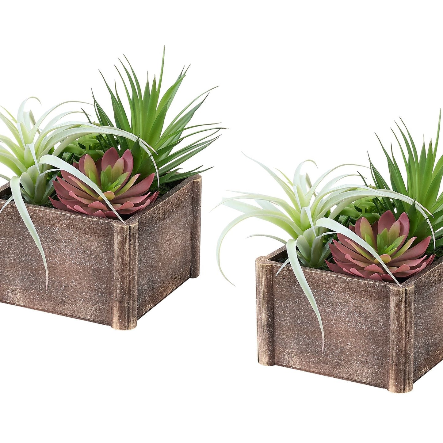 Artificial Succulent, Table Decor (Set of 2) - Green / Dark Brown