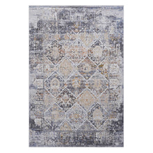 Load image into Gallery viewer, Payas - Traditional Area Rug
