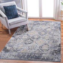 Load image into Gallery viewer, Payas - 5' X 7' Traditional Area Rug - Gray / Blue
