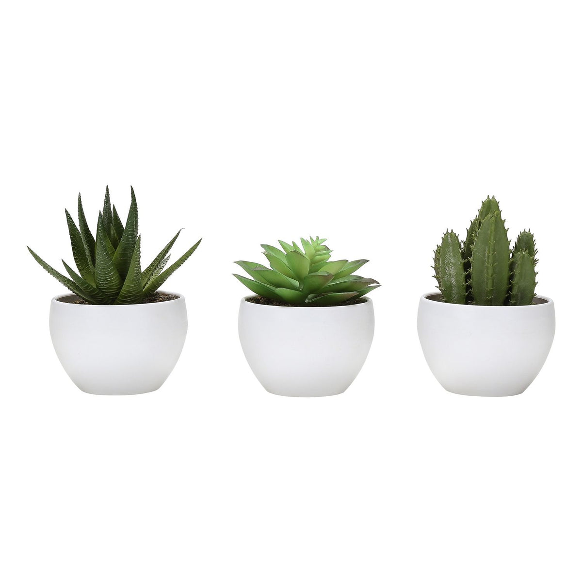 Artificial Succulent Plants (Set of 3) - Ego Home Furniture