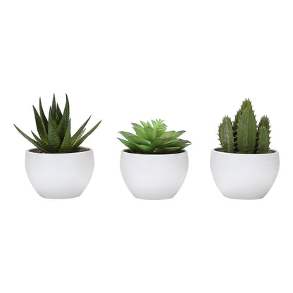 Artificial Succulent Plants (Set of 3) - Ego Home Furniture
