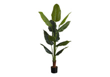 Load image into Gallery viewer, 59" Tall, Artificial Plant, Strelitzia Tree, Indoor, Faux, Fake, Floor, Greenery, Potted, Real Touch, Decorative - Green / Black

